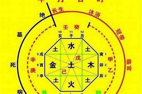 八字五行喜忌|八字喜用神在线查询器,五行喜什么查询免费